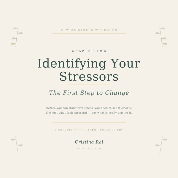 Ch.2 — Identifying Your Stressors: The First Step to Change